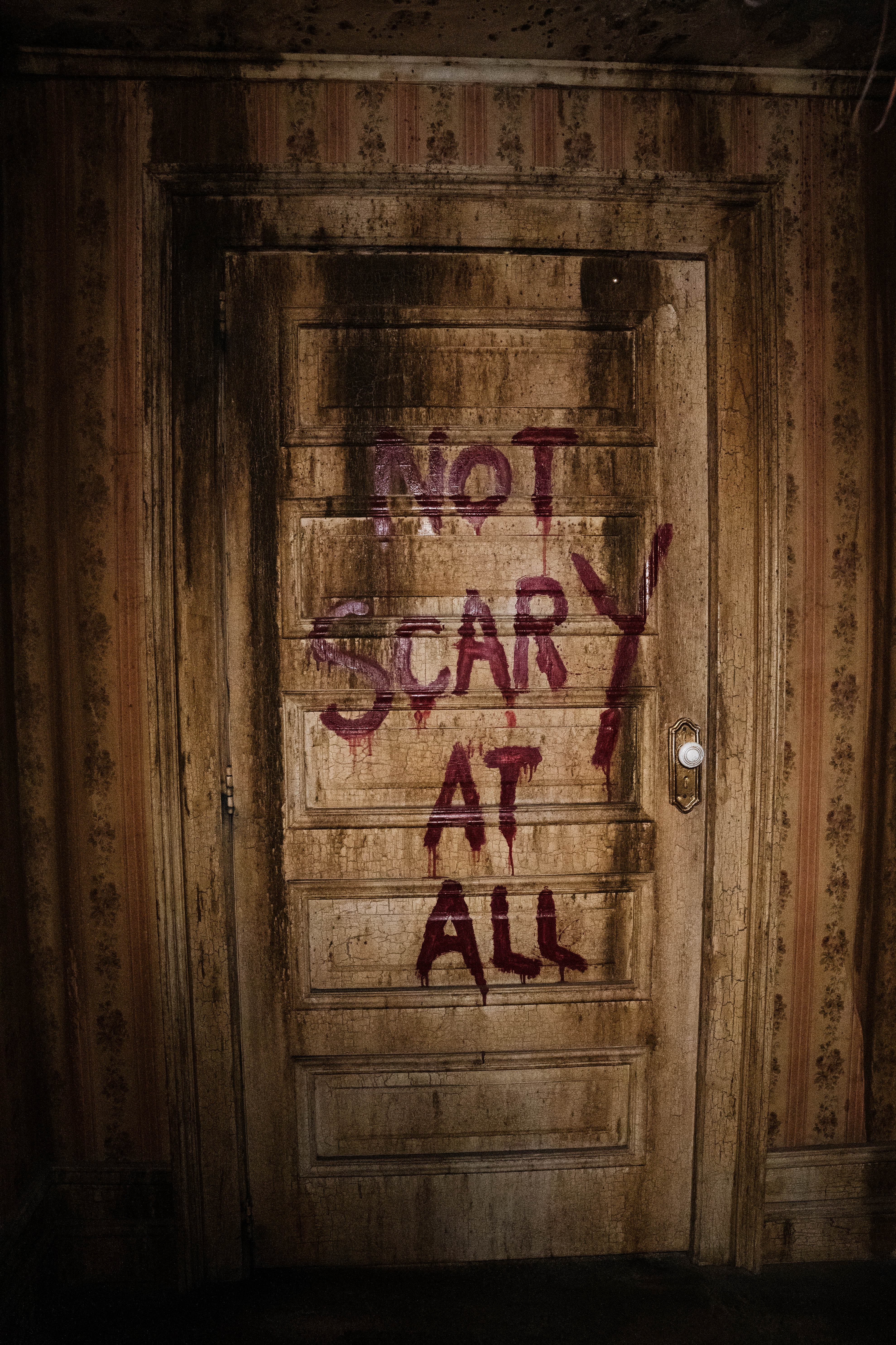Escape IT Brand Assets photo 5